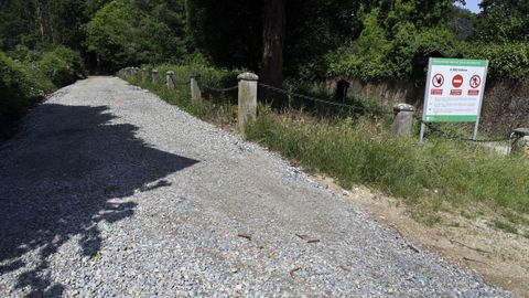 Pista que se est� preparando para sacar la madera que se tale