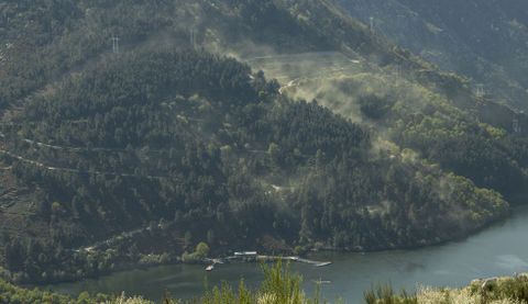 Nubes de polen levantadas por el viento en la ribeira de Sober m�s pr�xima a la presa de Santo Estevo, en uno de los exe foto. 