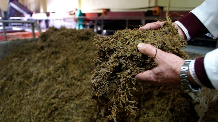 En este proyecto de investigaci�n se utilizaron 20 toneladas de bagazo de uva Albari�o