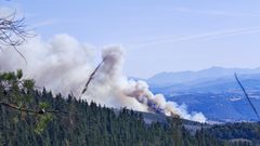 El incendio se inició a eso de las doce de la mañana