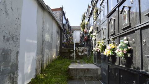 La maleza se apodera del cementerio se Santa Ic�a de Trasancos.