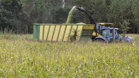 Imagen de archivo de una explotacin agrcola.