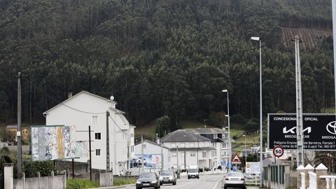 Promavi defiende que cortar montes contiguos a un tiempo mejora la explotaci�n forestal