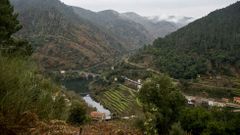 Un paseo visual por el Cami�o do Tirxo
