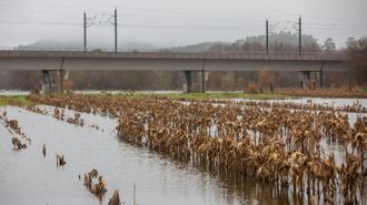 Las fincas anegadas junto al viaducto del tren, en el trayecto desde Vilagarc&iacute;a a Pontevedra.