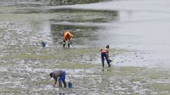 Mariscadores furtivos en la zona de A Cabana