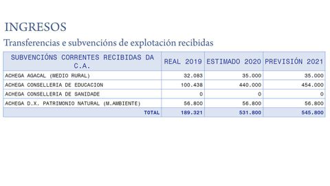 Previsión de las subvenciones de la Xunta al Hospital Veterinario Rof Codina el año pasado.
