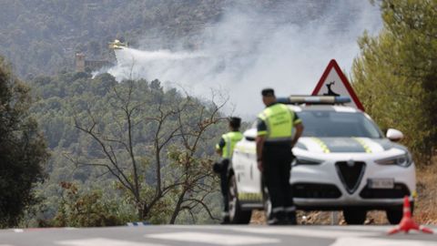 Trabajos antiincendios en Castell�n