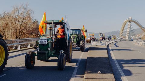 Tractorada de agricultores y ganaderos en Ourense