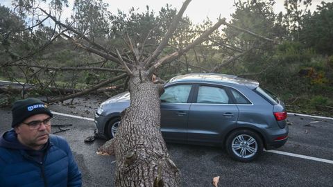 Un �rbol cay� sobre un veh�culo entre Porto y Foz do Arelho