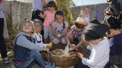 El jueves celebrar�n en el CRA de Ponteceso una jornada de vendimia y esfolla