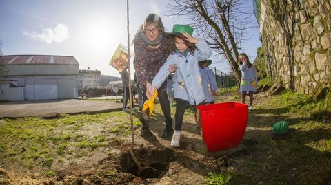Una reciente plantacin de rboles en el colegio Vila de Cee