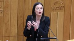 Olalla Rodil, nunha intervencin no Parlamento