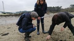 Responsables de la Conseller�a do Mar durante las visitas realizadas ayer a varias playas.