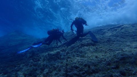 Las muestras se tomaron en las islas C�es y en el archipi�lago de Cabrera