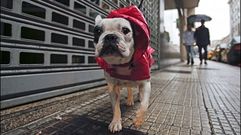 Las lluvias llegan, por f�n, a Pontevedra.