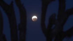 Fugaz luna de sangre en California