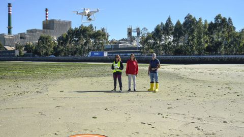 Una de las actividades realizadas por un equipo investigador este oto�o en la r�a de Pontevedra