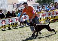 Una prueba del Certamen Nacional Canino, en Porto do Son.