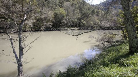 Aspecto del r�o Eume el 19 de octubre de 2020, a ra�z del vertido de lodos del embalse de A Capela