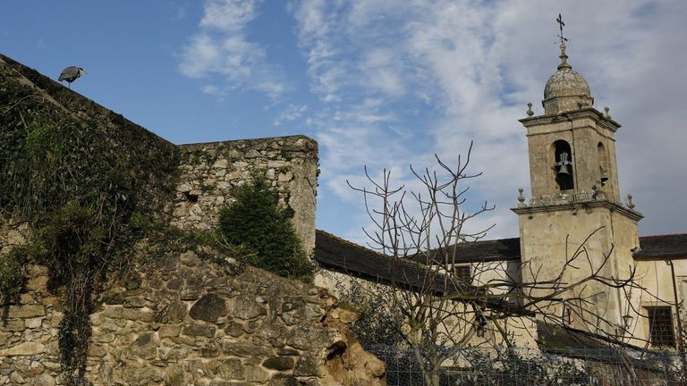 <span lang= gl >Campanario dunha das igrexas do casco histrico de Viveiro</span>