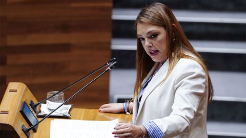 La portavoz de Vox, Carolina Lpez