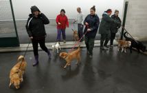 Las primeras mascotas que habitaron el nuevo refugio fueron trasladadas en enero del 2014. 