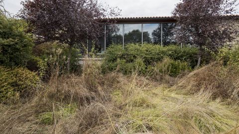 En las zonas verdes prolifera la maleza