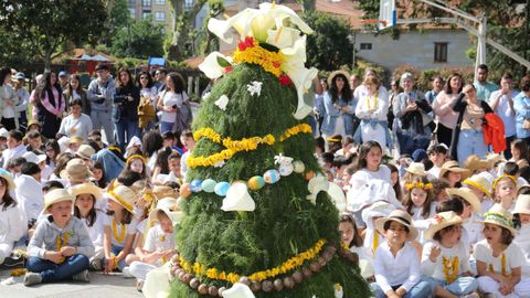 Festa dos Maios celebrada este venres no parque de Torrado en Cambados