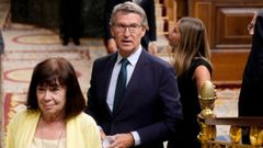 El presidente del Partido Popular, Alberto Nez Feijoo, en el pleno del Congreso de los Diputados del pasado 23 de julio.