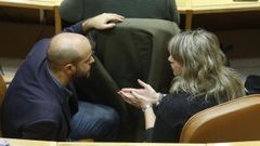 Lu�s Villares y Carmen Santos conversan en el Parlamento de Galicia