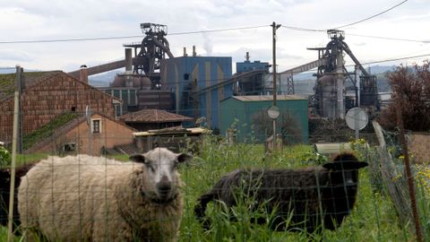 las instalaciones de ArcelorMittal en Veria