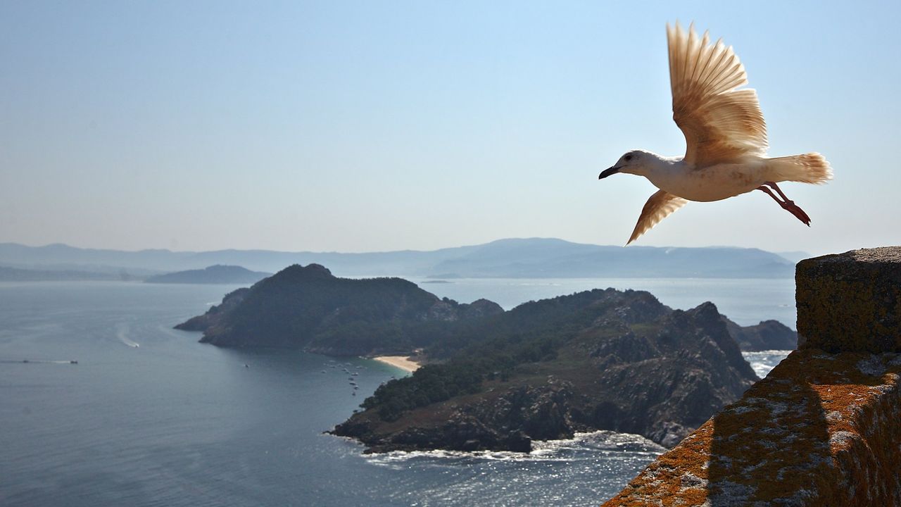Cíes: conservar la biodiversidad, no sumar turistas