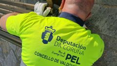 Un operario contratado por el Concello de Valdovi�o con fondos del Plan de Emprego Local de la Diputaci�n