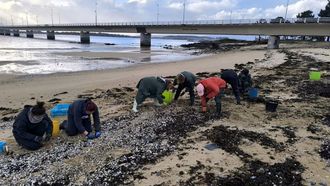 Mariscadoras intentando salvar marisco en O Castelete (Arousa).