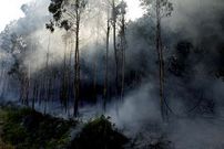 El fuego de Conxo se acerc� alguna casa pero sin riesgo.