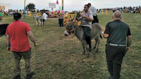 Carrera de burros de Ordiales (Siero)