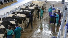 Alumnos de Veterinaria, trabajando en la Granxa Experimental do Leite