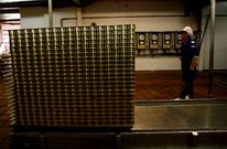 El proyecto de Pescamar en Angola reproducir� el modelo de producci�n desarrollado en Poio.