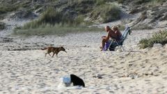 En la playa de Doniños se permite la presencia de perros, siempre bajo el control de sus dueños