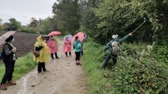 Una salida de la Primavera en Ruta de Senda Nova, imagen de archivo 