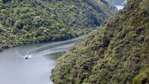 Catamarn surcando los caones de la Ribeira Sacra