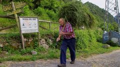 Un hombre lleva hierba para sus vacas en el inicio de la Senda del Oso, una v�a verde que discurre por los concejos de Proaza, Teverga, Quir�s y Santo Adriano