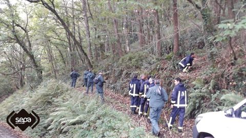 Dispositivo de b�squeda en Tineo