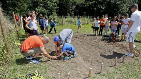Presentaci�n del programa de compostaje dom�stico en el Huerto Ecol�gico Municipal de Carballo, hace unos a�os.