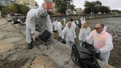 M�s de un centenar de personas acuden a limpiar los fondos de la r�a de O Burgo