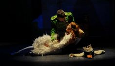 El protagonista de la puesta en escena es un pr�ncipe que se enamora de una mujer-cisne.