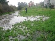 Las aguas fecales se acumulan en un prado cercano.