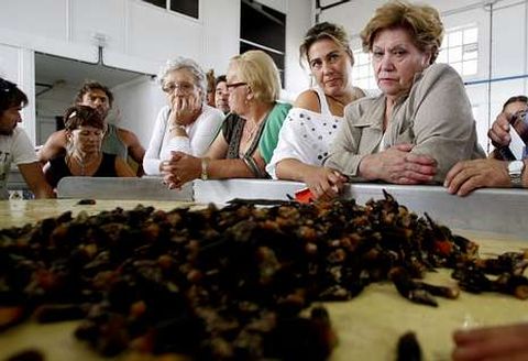 En la fotograf�a, de archivo, una subasta de percebe desarrollada en la rula de Curuxeiras.