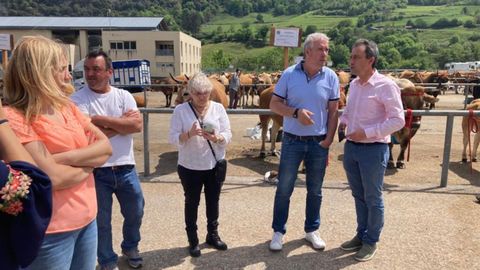Zapico, en la feria de Proaza